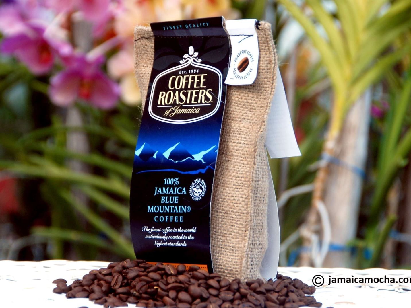 A burlap sack of 100% Jamaica Blue Mountain coffee resting on a bed of roasted beans.